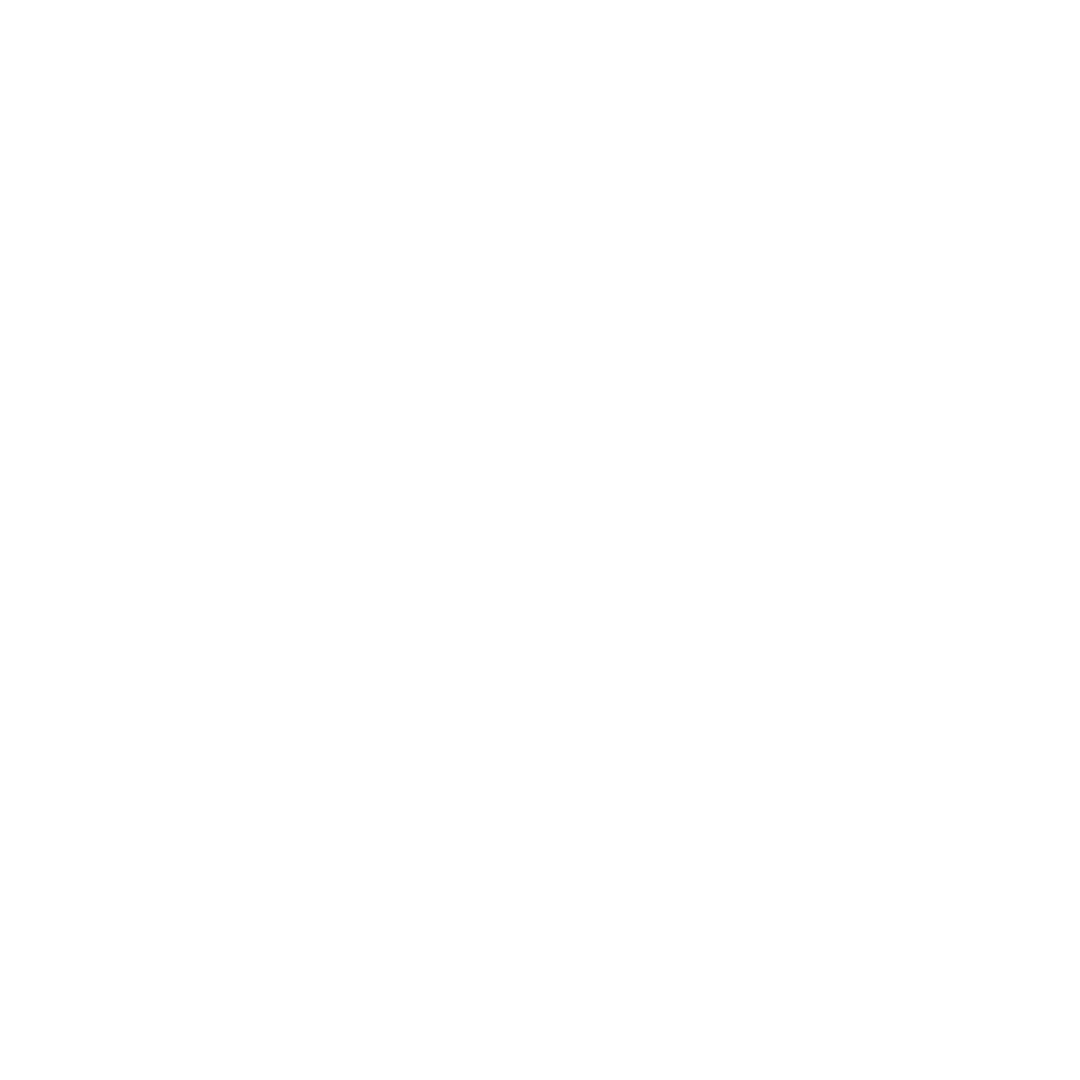 V4 Company Logo